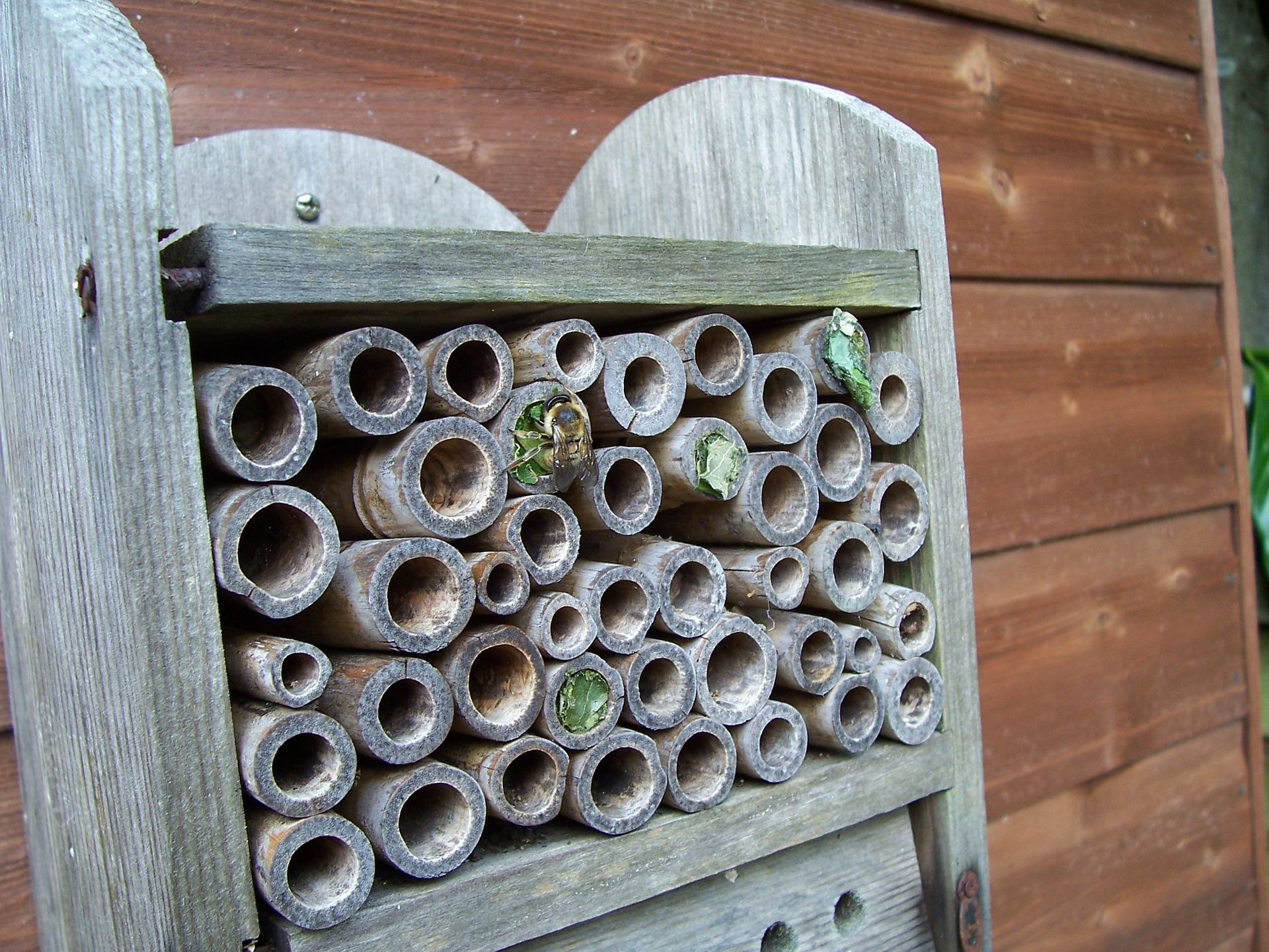 Attract Bees - Attract mason bees - mason bee nesting - Bee hotel 8